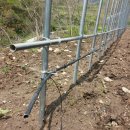 관수농장 이미지