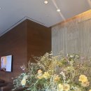 Banyan Tree Club&SPA Seoul Golf | 크리스탈 볼룸 4월의 벚꽃 웨딩 - 국제 웨딩 애프터파티 및 호텔 숙박 후기 (feat. 문바, 로단테 스냅)