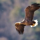 우곡식당 이미지