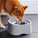 모