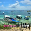 다본안경 | 필리핀 보홀 패키지 vs 자유여행 비교 둘 다 해본 후기