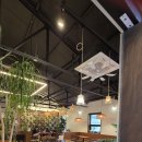 풍일로(일직면) 이미지