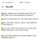 서울케이크 이미지
