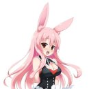 쿠로 카카오 검색결과