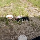 임피농장 이미지