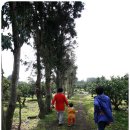 동준농장 이미지