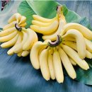 진도농장 이미지