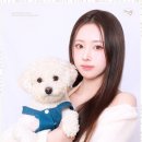다인어리 이미지