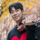 바이올린 이미지