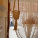 식당 토성동 이미지