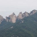 청명 141 이미지