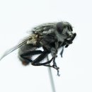 신평1동-6 이미지