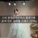 팅커벨하우스 | [14] 발레리아스포사 촬영가봉- 유색 민트 팅커벨 드레스 (선택x)