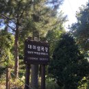 데미샘친환경농장 이미지