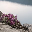 문산1리 이미지