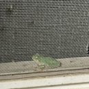 갑이농장2 | 창문가에서 보이는