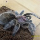 헤어로즈 이미지