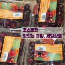 씨유 기흥공세로점 | 용인 코스트코 공세점 주말방문 할인상품 주차전쟁 푸드코트 완판까지 솔직 리뷰