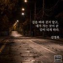 하고 싶은 것만 해도 되긴 하지 이미지