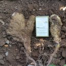 마한농장 이미지