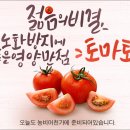 와룡농원 | 2026년 4월 27일 월요일 분당 tomato의 농비어천가