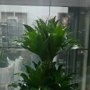 조은 당구장 이미지