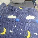 대성슈퍼 | 카본 탄소매트 1인용 전기방판 세탁가능 대성쎌틱 전기매트