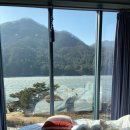 라플로르 이미지