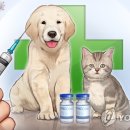 강원도동물위생시험소 이미지