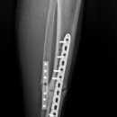 대한민국행정사 이미지