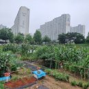 파주농장 이미지