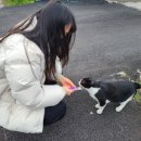 사월의국수 이미지