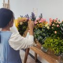 상안미2리경로당 | 운동하면 900만원 병원비 절약