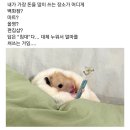 무념무상 네이버블로그