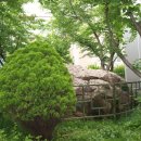 검바위공원 이미지