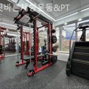 봄핏 바른체형운동&PT 이미지