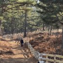 큰언덕목장 | 남해 양떼목장 양마르뜨언덕 아이와 가기 좋은 겨울 관광지