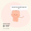 (주)리더 | 스마일리더 임산부어플 솔직 후기 -임신 중 꼭 필요한 앱!