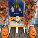 카페미밍코 이미지