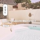 일랑일랑 스테이 이미지