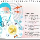 피를 건강하게하여 면역력을 높인 사례 - 헤모힘 이미지