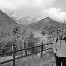 성문중학교 이미지