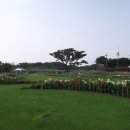 코랜드