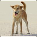 비상초등학교 이미지