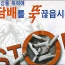 미인교육연구소