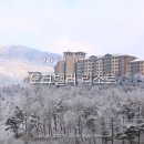 GS25오크밸리CC점 네이버블로그