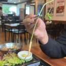 한뿌리보쌈 이미지