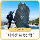 국내 패키지 여행ㅣ승우여행사 태기산 등산코스 겨울 눈꽃산행