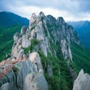 하이렉스파 이미지