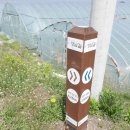 삼보목장 이미지